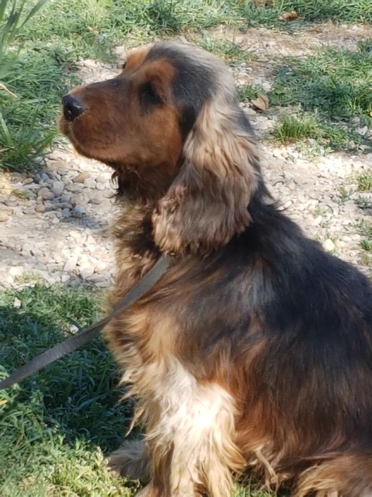 Jock du vent de soleu